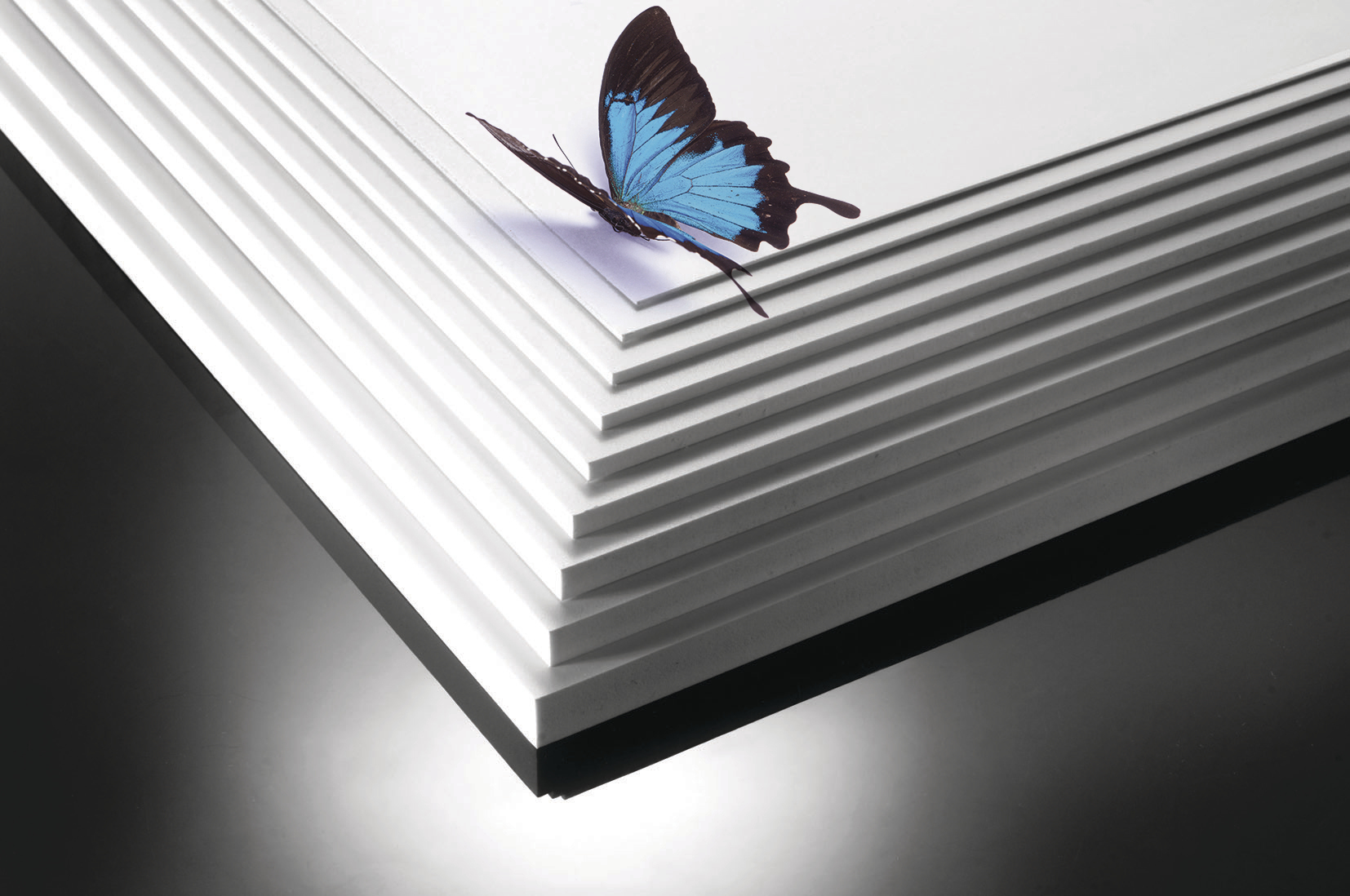 PVC Supplier - Righton Blackburns